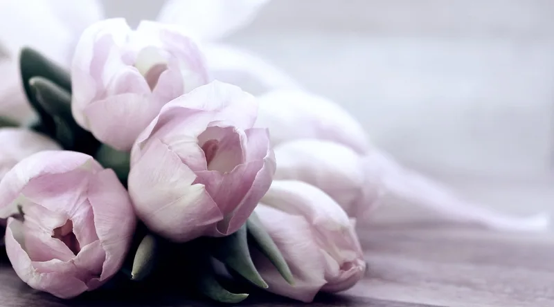 Bouquet misto di stagione